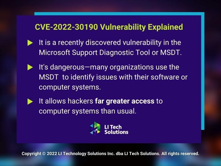 Callout 1: CVE-2022-30190 Vulnerability Explained - 3 facts listed