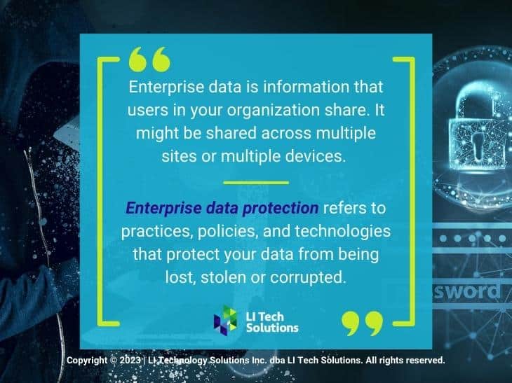 Callout 1: data protection & cybersecurity concept- Enterprise data definition from text